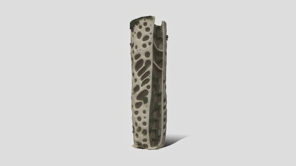 Organic Perforated Tower 3d Model