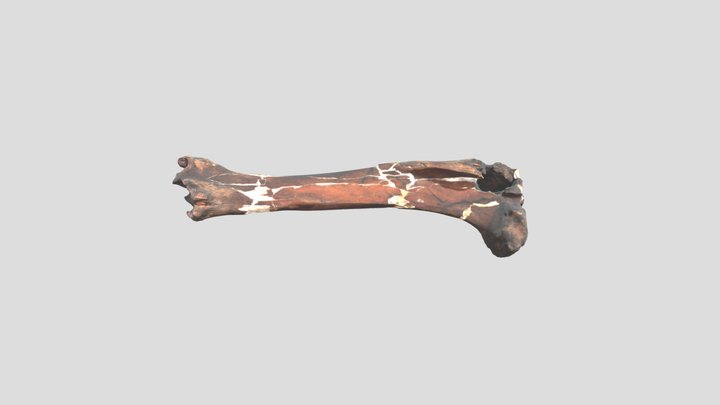 JS301 3D Model