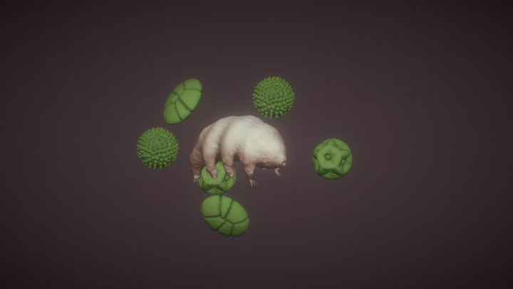 Tardigrade / Water Bear 3D Model