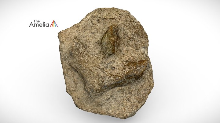 Iguanodon Footprint 3D Model