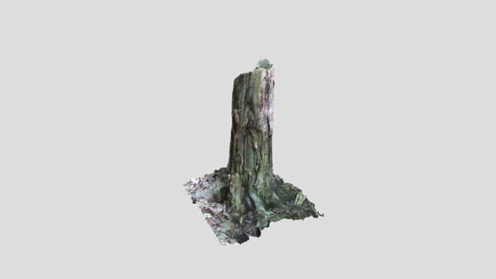 Tree4 3D Model