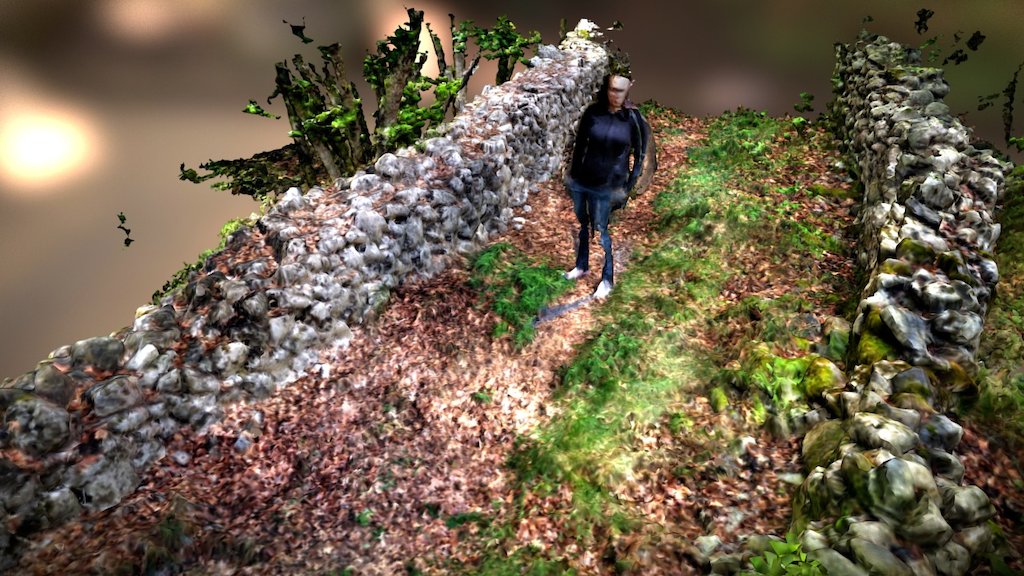 Forest path bordered by stone walls - 3D model by htdcris [4311dcc ...