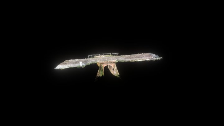 Briscoes Bridge (Drone + terrestrial scanning) 3D Model