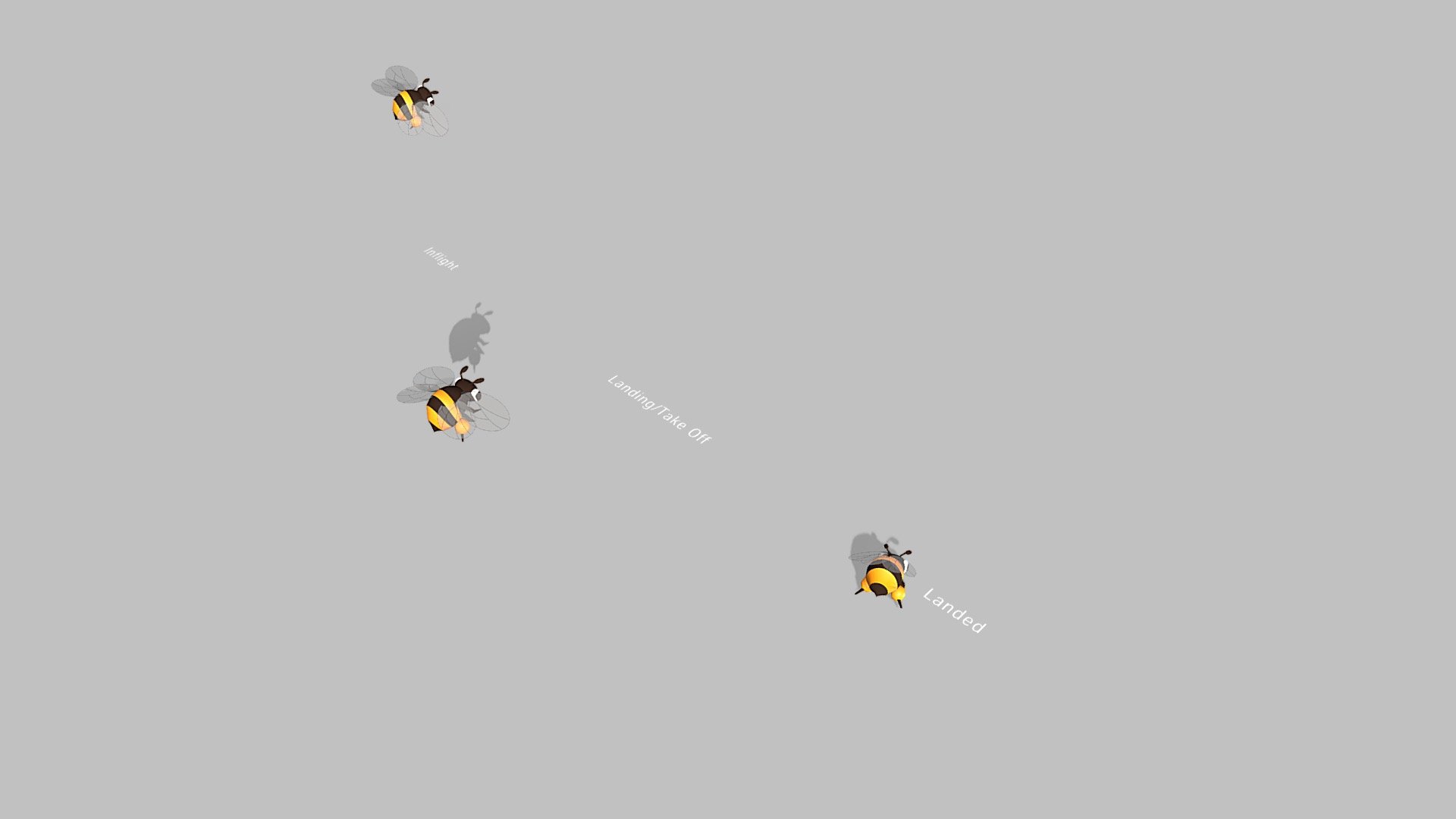 Bee Motions