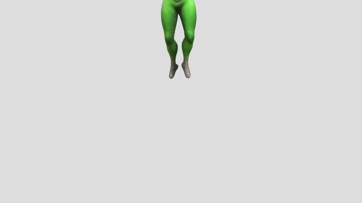 Left Shimmy 3D Model