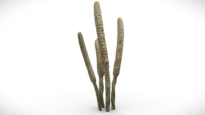 Alien Fantasy Plant - Swamp Reeds 3D Model
