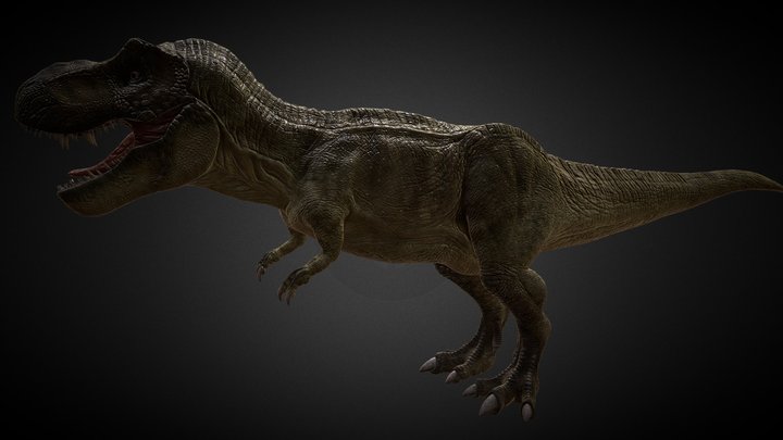 Tyrannosaurus Rex (Dinosauria) 3D Model