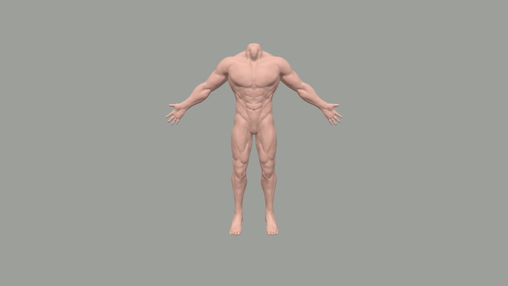 Muscular male body
