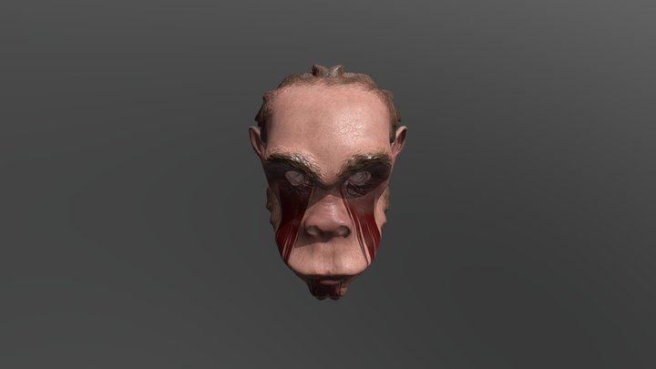 Monkey Head 3D Model