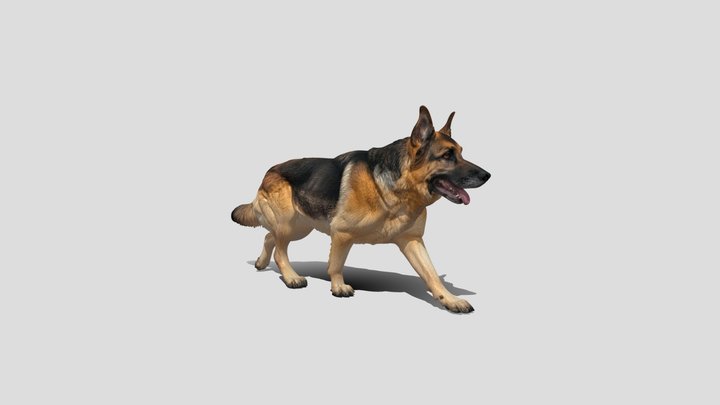 German Shepherd dog 3d model free – Modello 3D gratuito STL