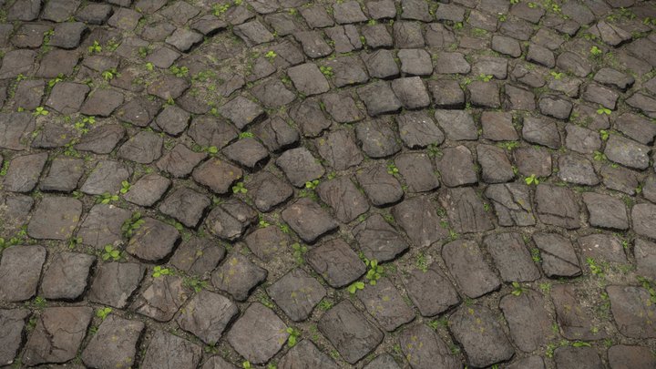 Arc Pavement 3D Model