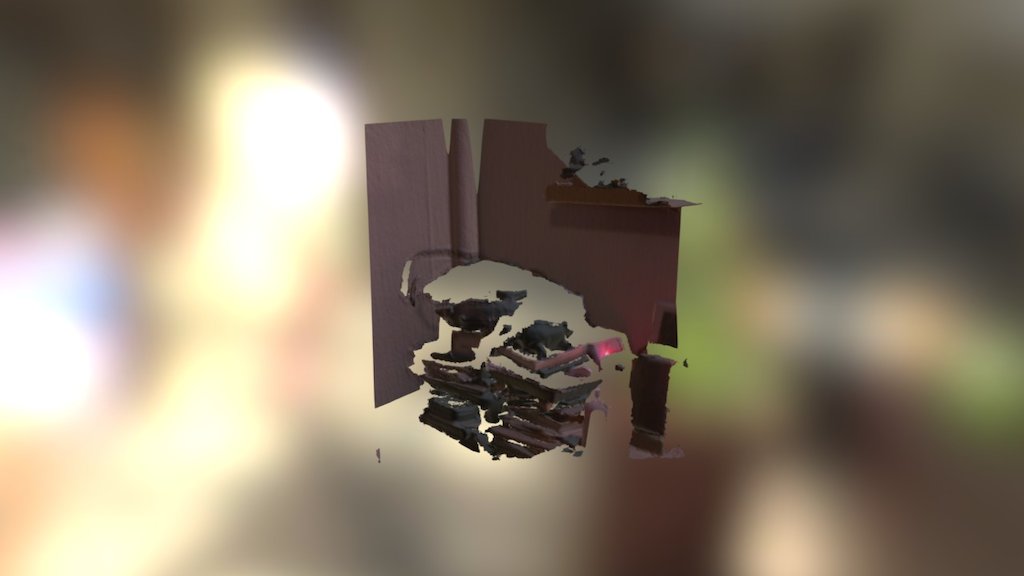 My scan - Download Free 3D model by Anaya3d [4325a52] - Sketchfab
