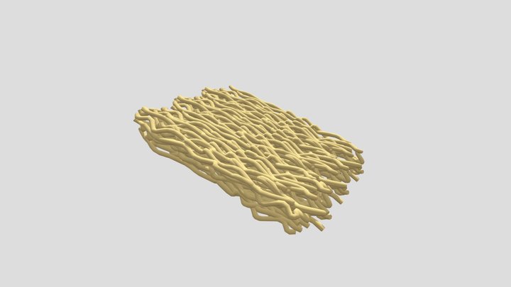 Noodle 3D Model