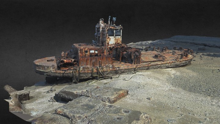 Abandoned ship Ginnanmaru 銀杏丸 3D Model