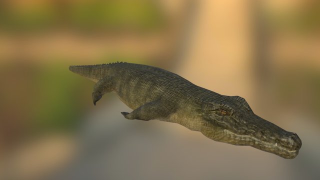 CROCODILE 3D Model