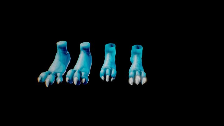 furry Foot practice 3D Model