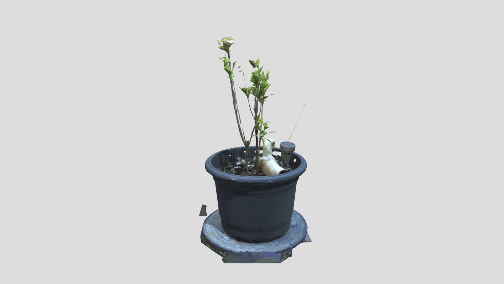 Plant pot