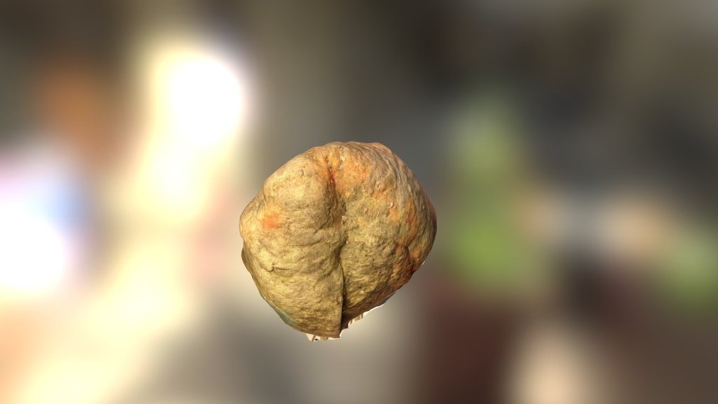 A TRNIO Model