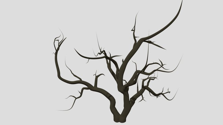 Jacaranda Tree 3D Model