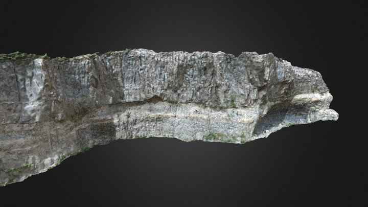 Brown Canyon Cliff 3D Model