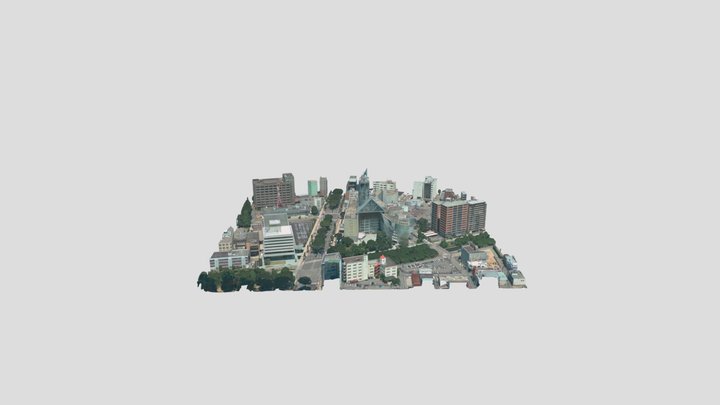 Toyama City 3D Model