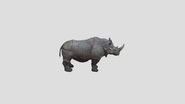 Rhino-dali-style 3D Model