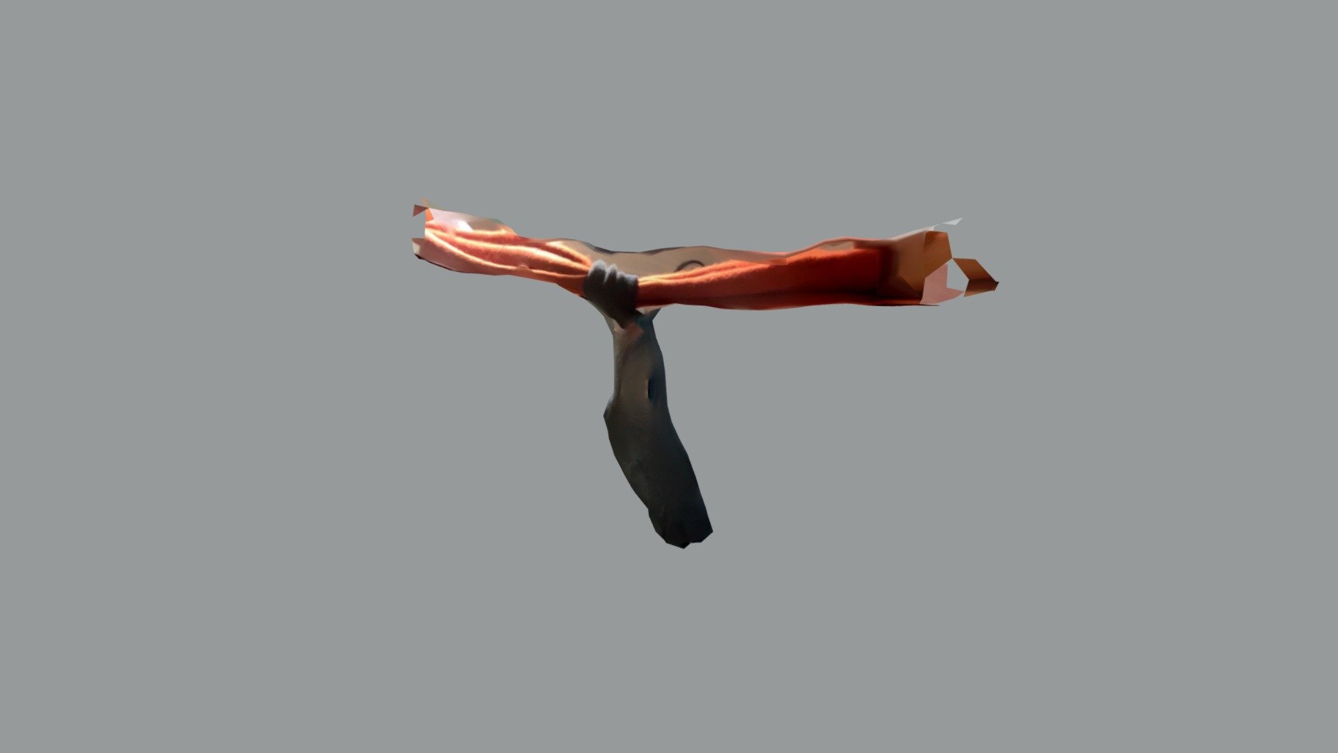 Whale2
