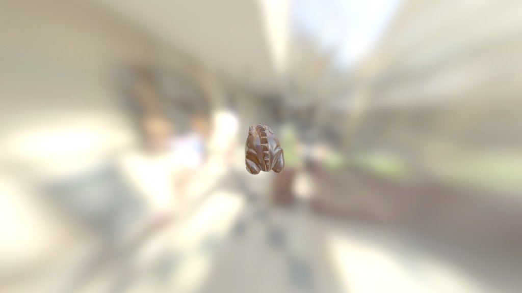 Rana