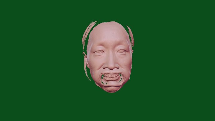 Face with Mouth Opener – Modello 3D gratuito STL