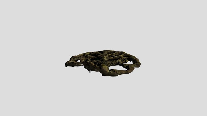 Possible Viking brooch? 3D Model