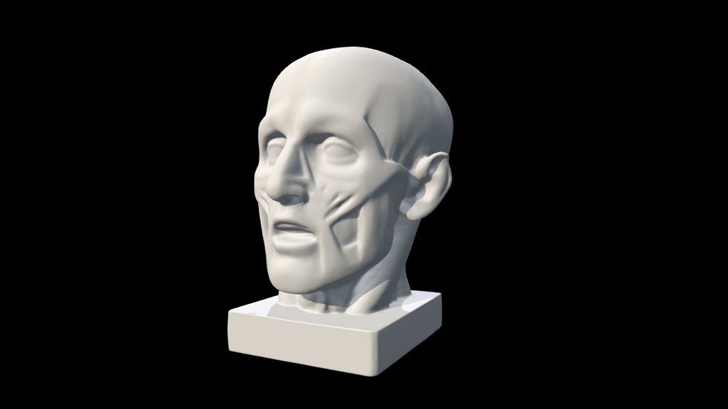 Houdon Ecorche Head 3D Scan - 3D Model By Anatomy Next (@a4s) [433dff8 ...