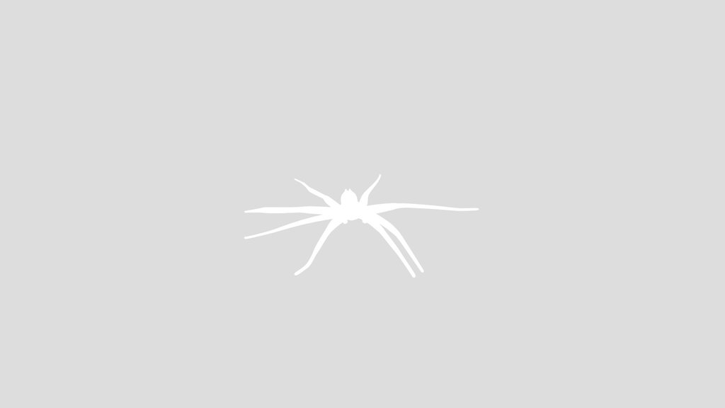 Scary Spider