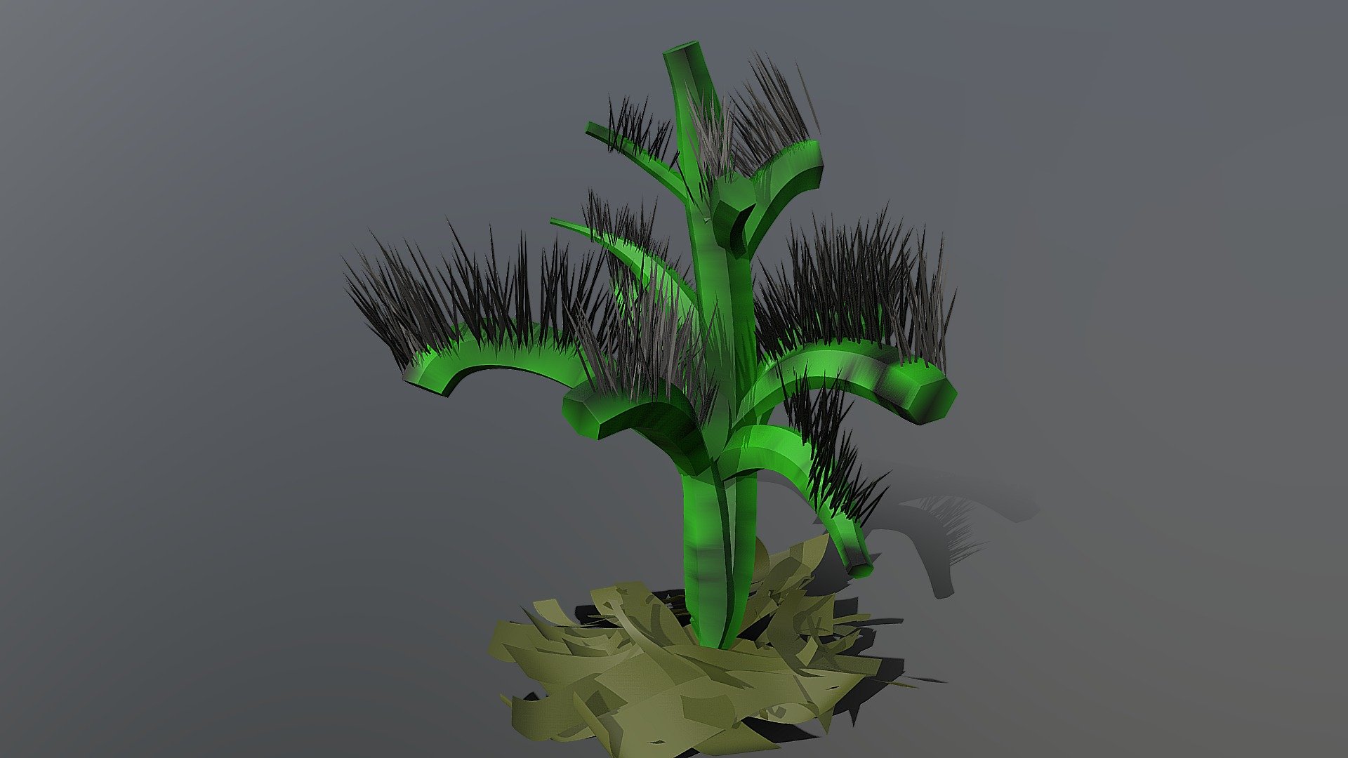 Cactus