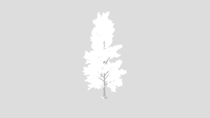 Pine Tree Low Poly Variation – Gratis 3D-model STL