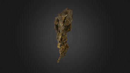 MDS Dense Mesh 2500000 3D Model