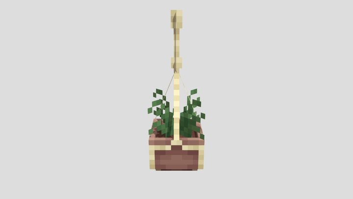 Hanging Plant 3D Model