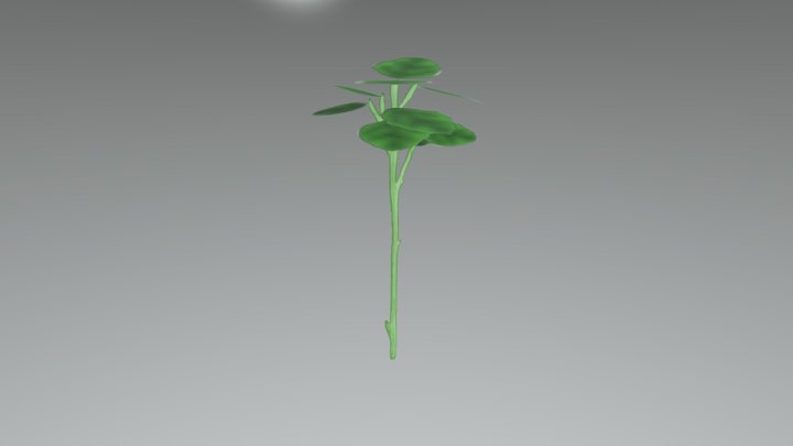 Watercress 3D Model