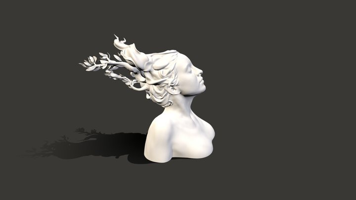 Proyecto2_ Sara Campillo 3D Model