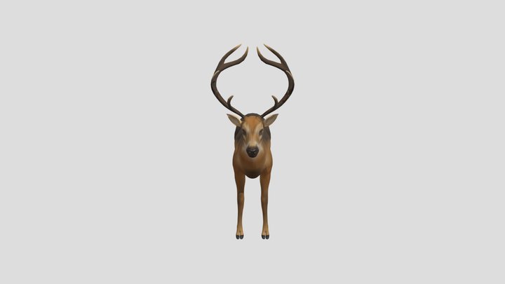 Rượu Balvenie 12 3D Model