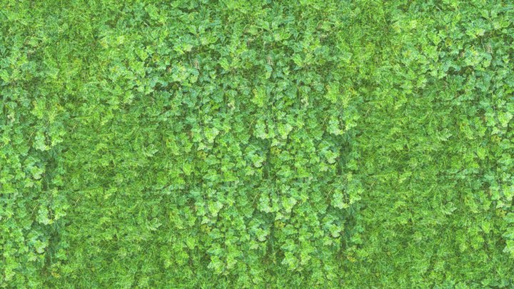 Forested Floor 3D Model