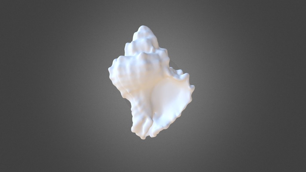 Hexaplex Trunculus