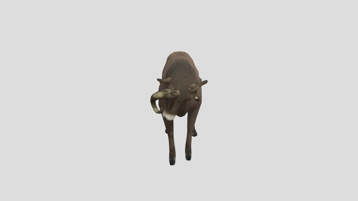 Bighorn_sheep_animated
