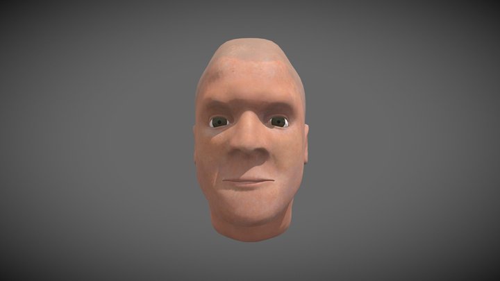 Bust Sculpt 3D Model