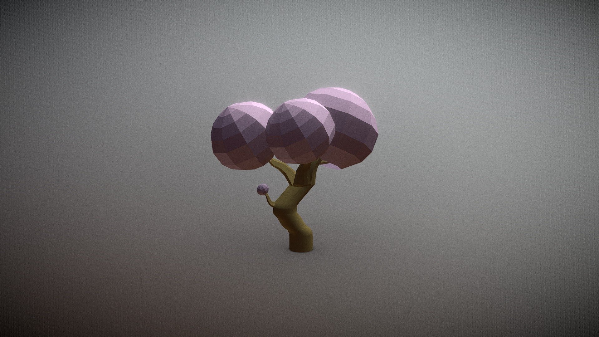 Cherry Blossom Tree 3d Model By Maxwell Walton Maxwellwalton 434feb9 Sketchfab 5991