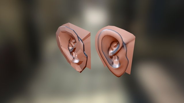 Ears 3D Model