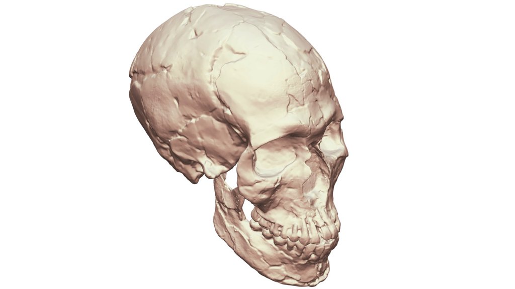 Qafzeh 9 Complete Reconstruction