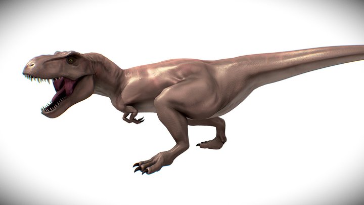 Tyrannosaurus Rex 3D Model