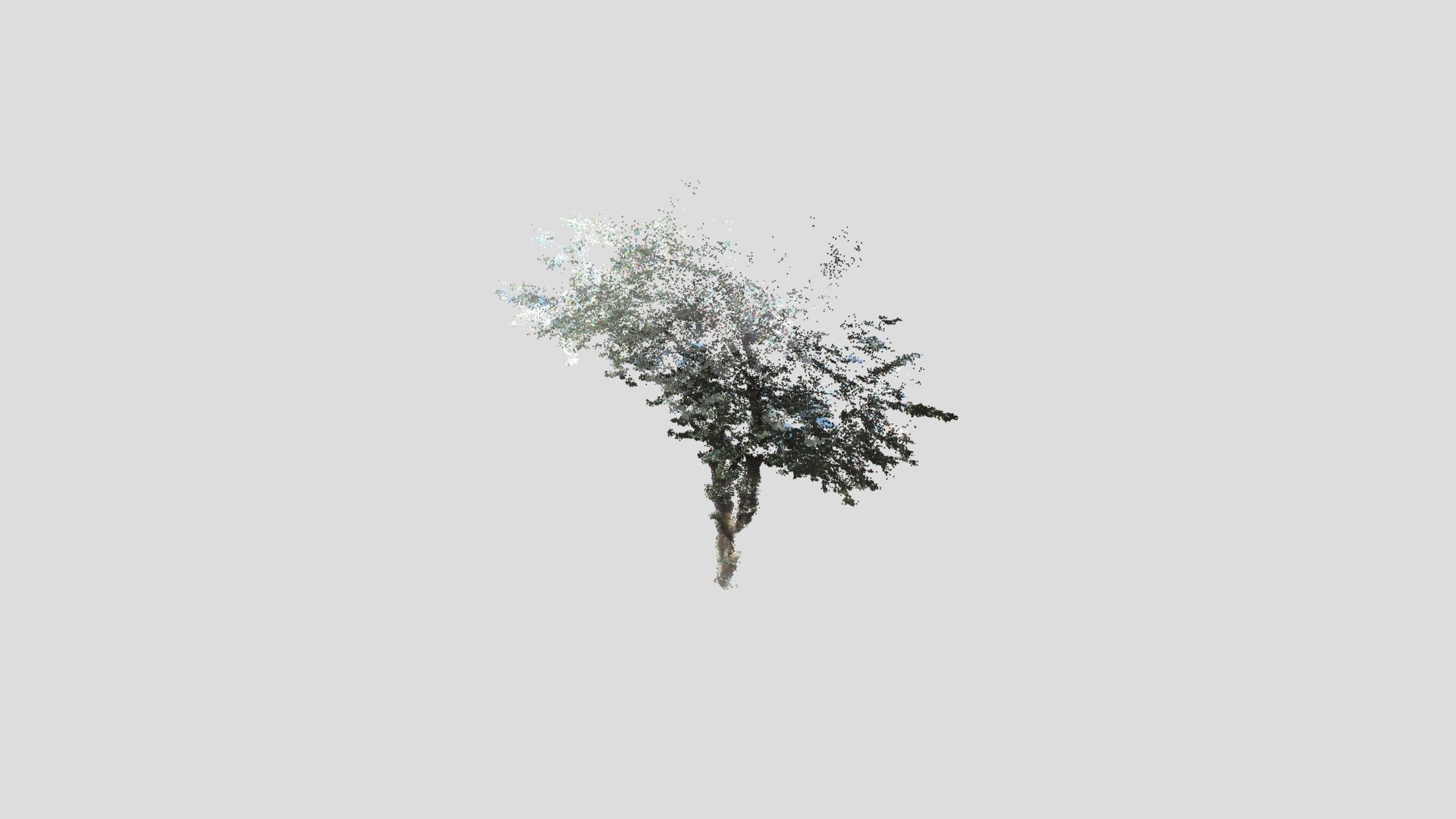tree45-pointcloud - 3D model by Nodai_Kunii_Lab (@mmsroadsidetree ...