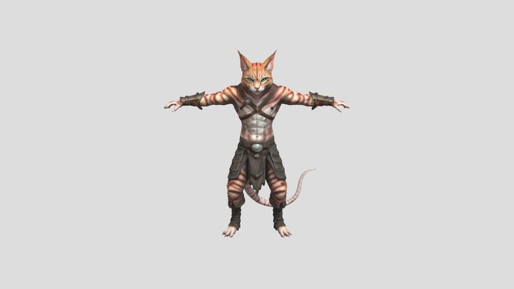 Warrior Cat Fantasy Character