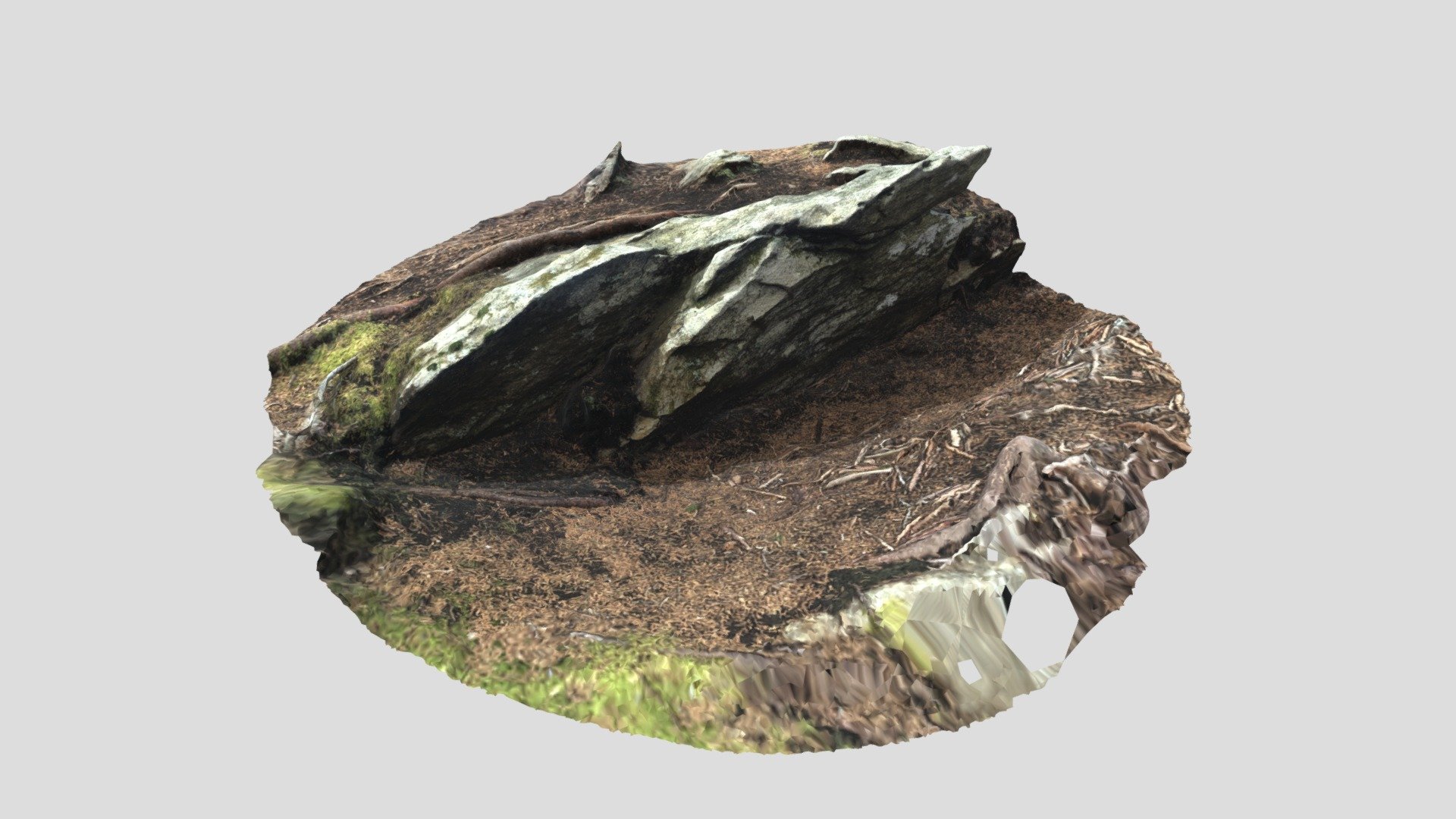 Rocks (Small Ledge)